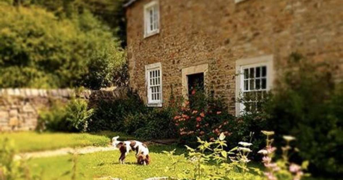 10 Best Dog-Friendly B&Bs in the Uk for 2023