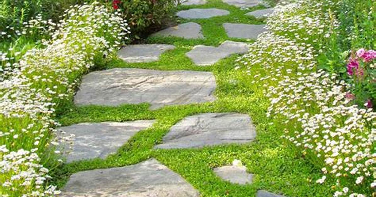 10 Garden Path Ideas