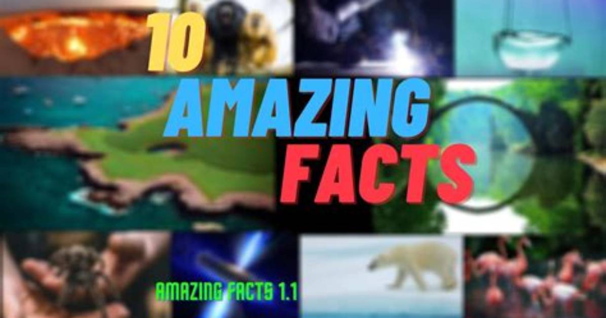 10 Truly Wild Facts You Never Knew About Your Boobs