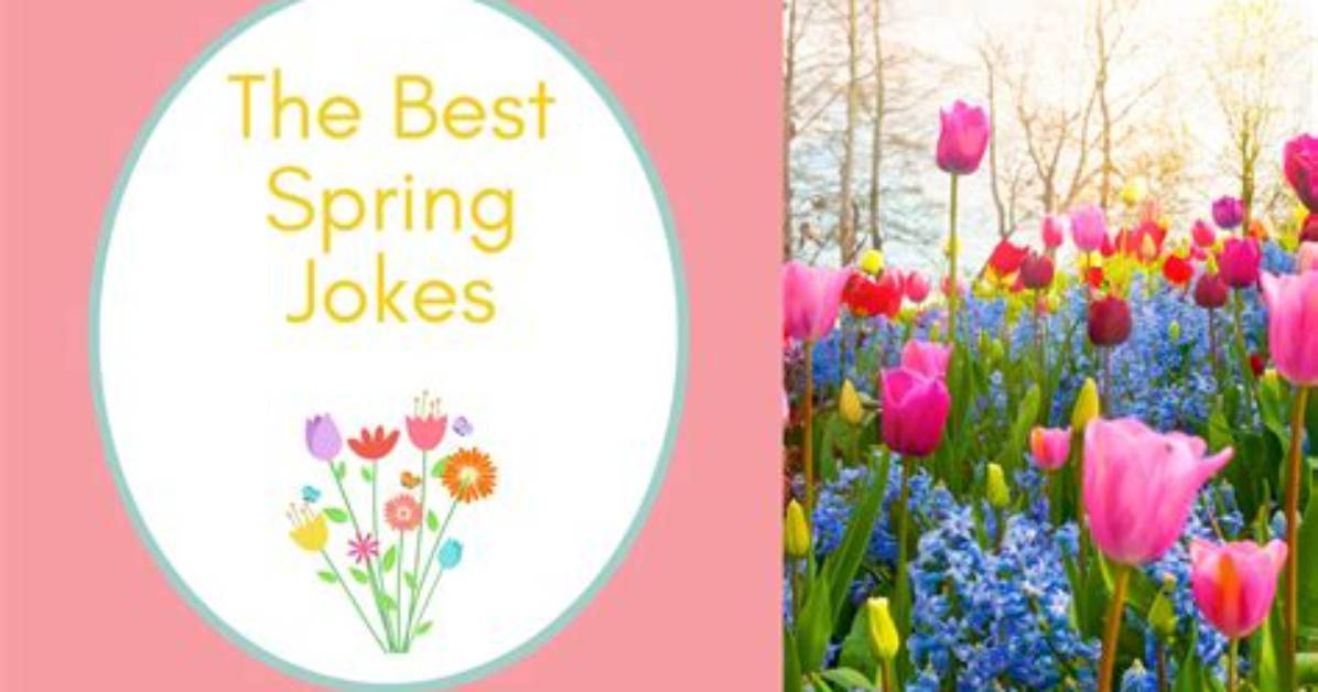100 Best Spring Jokes 2023 — Best Spring Puns for Kids