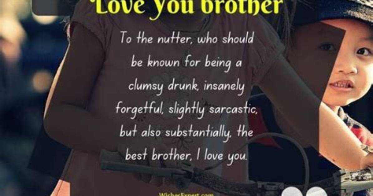 100+ I Love You Brother Quotes, Sayings, and Messages from His Sister