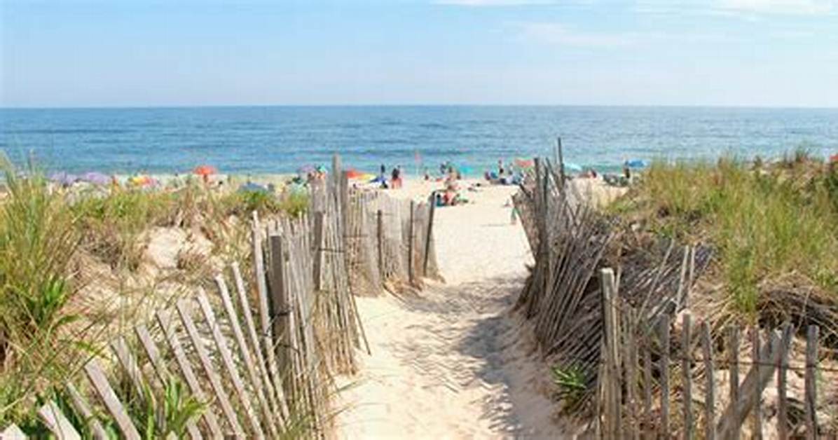 15 Best Beaches on the East Coast