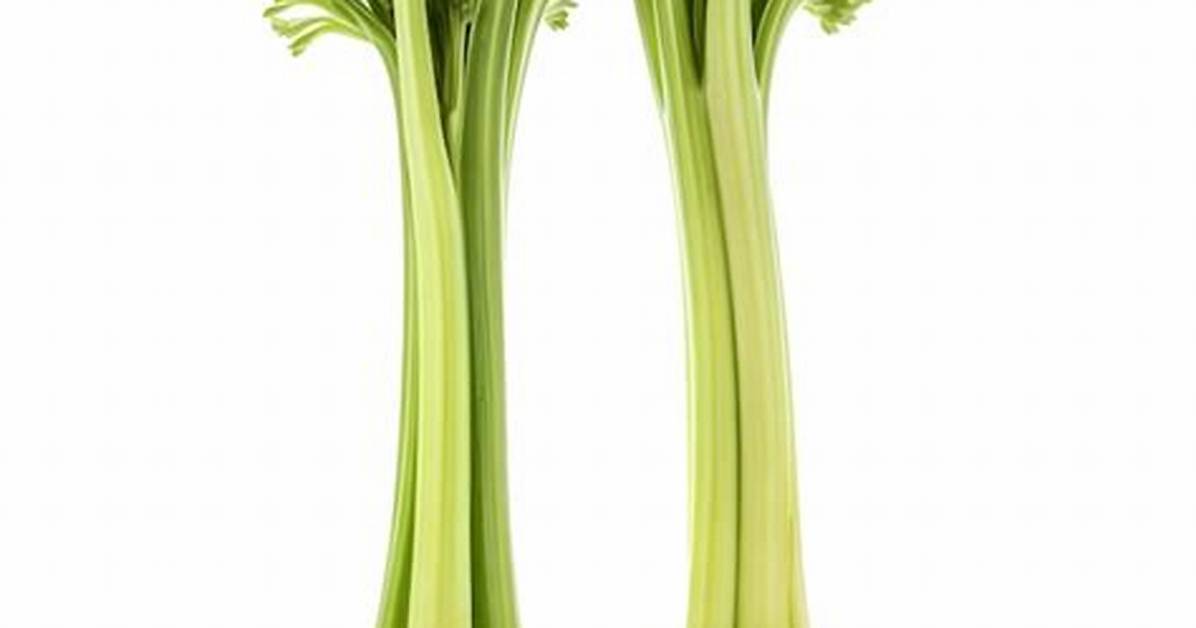 2 Stalks Celery? Here Is the Answer