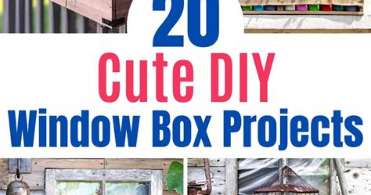 20 Best Diy Window Box Ideas