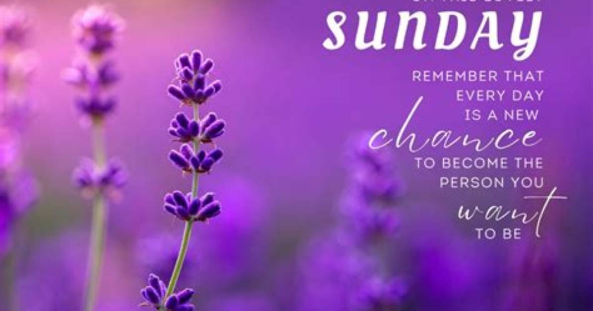 20 Best Sunday Quotes - Inspiring Sunday Sayings and Quotes