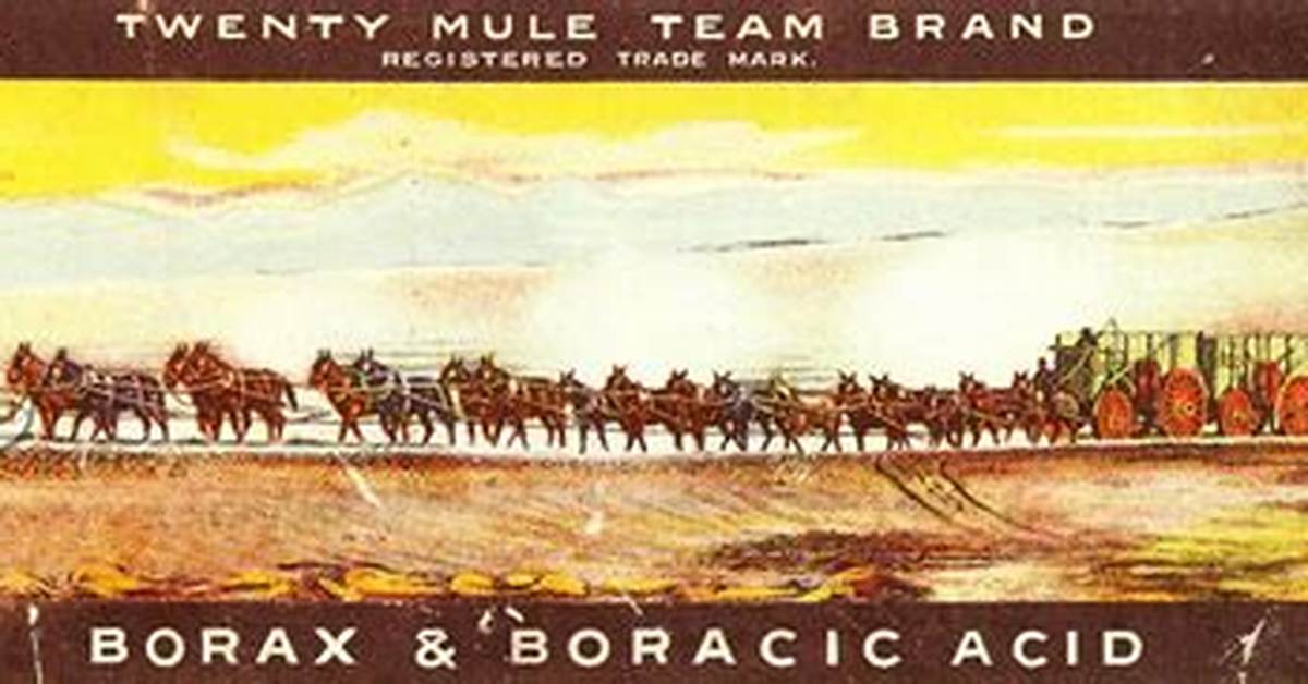 20 Mule Team Borax Effectiveness Roaches