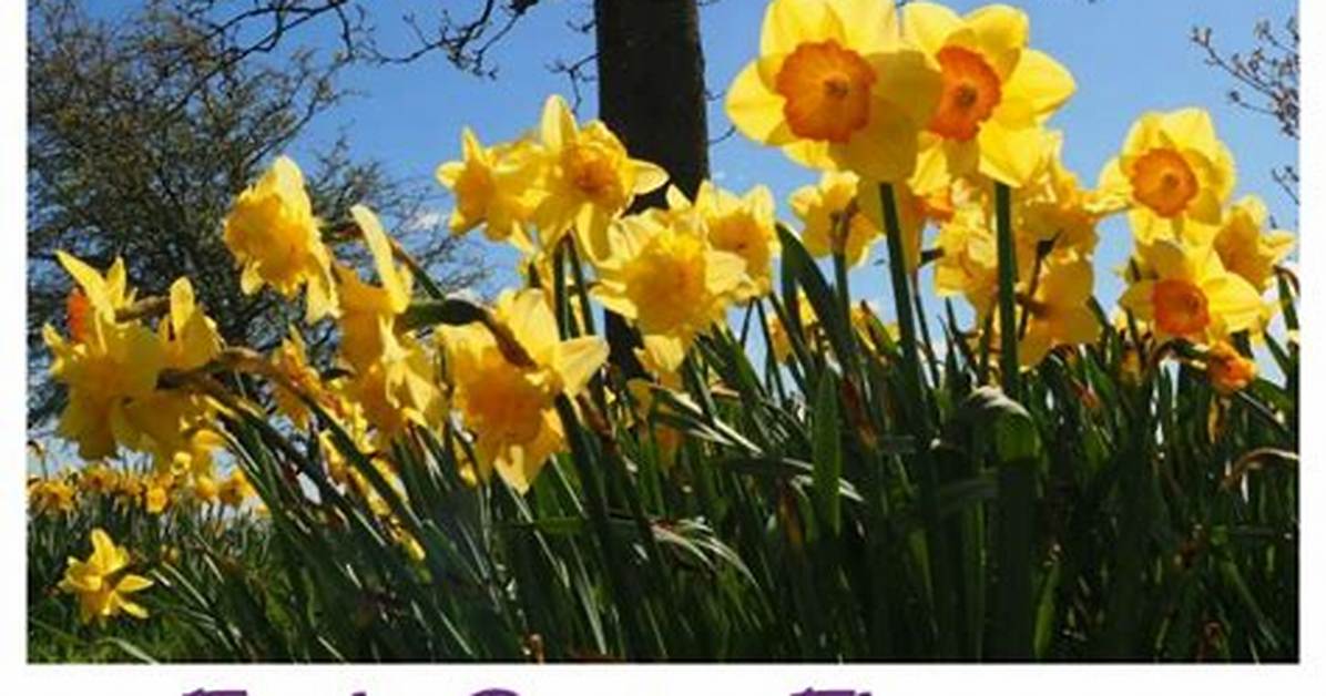 29 Best Early Spring Flowers and Blossoms
