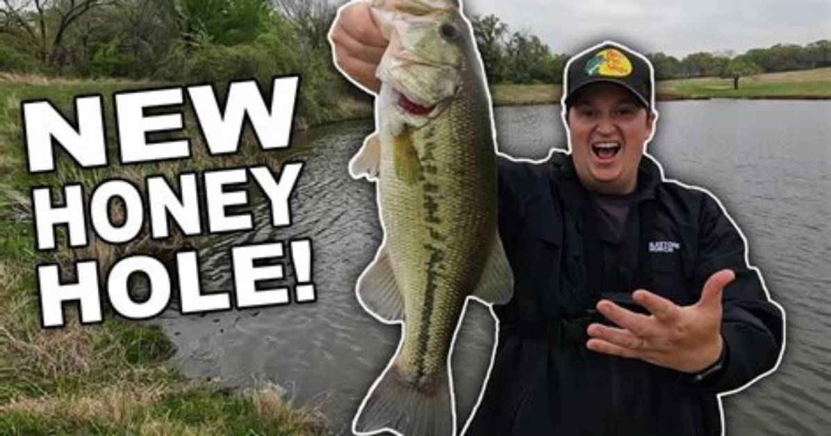 3Rd Bass Net Worth