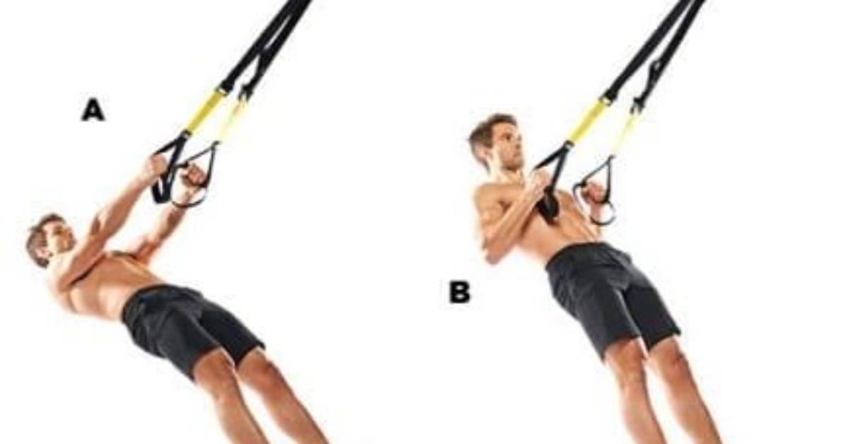 5 Trx Exercises to Build a Big Back