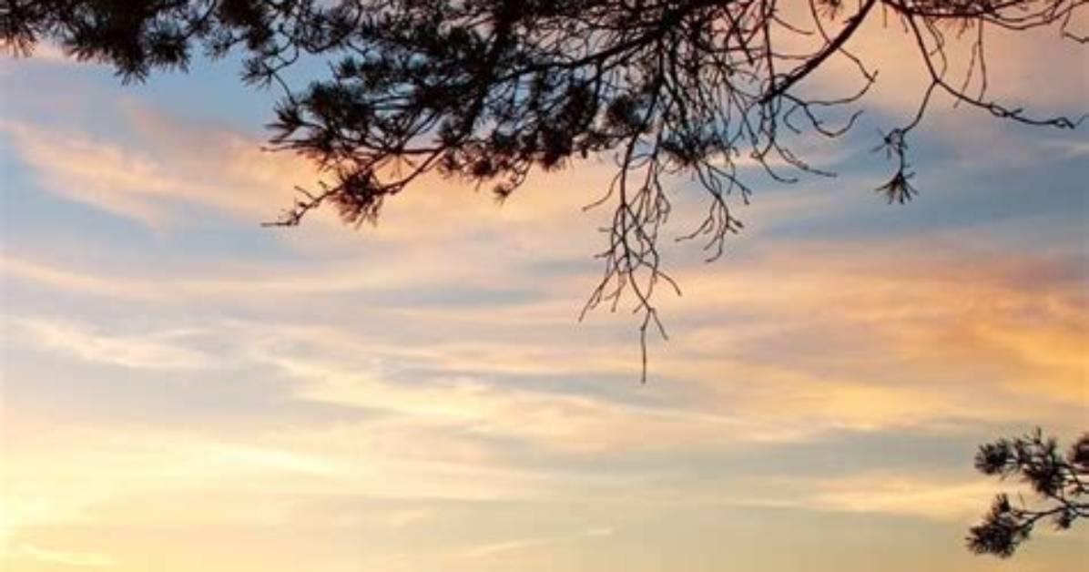 52 Best Camping Gifts for Your Favorite Outdoorsman (Or Woman)