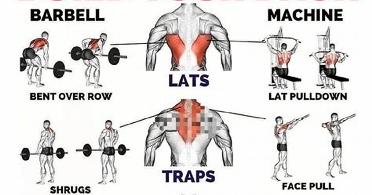 7 Back Exercises You Can Easily Do at Home