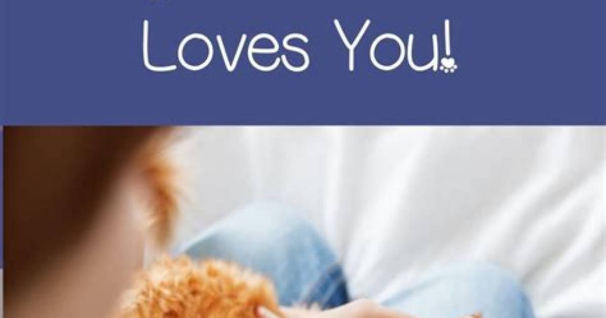 9 Signs That Your Cat Really Loves You