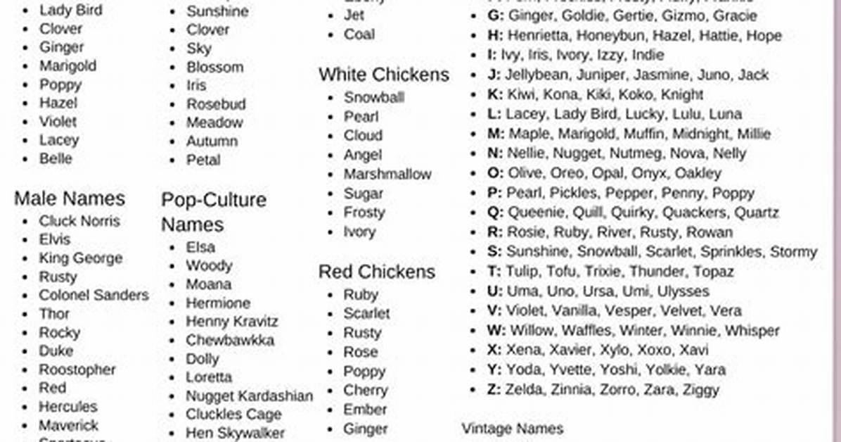 97 Best Chicken Names to Give Your Flock in 2023