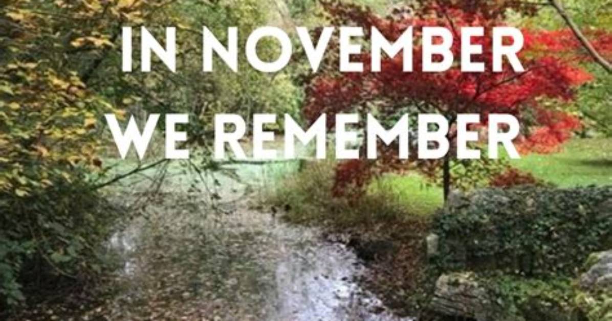 A November to Remember in Salem-November Preview!