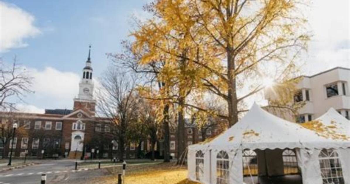 'A Real Specimen': Ginkgo Tree Bathes the Green with Leaves