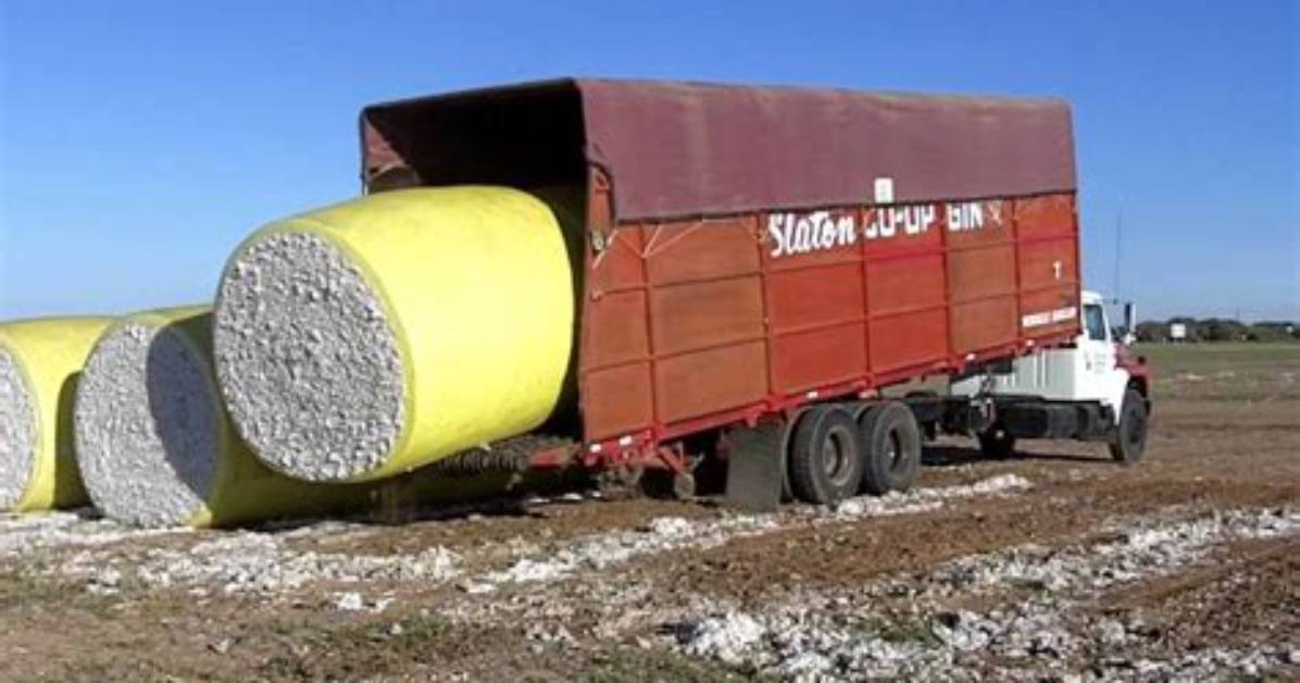 A Slaton Co-Op Gin Truck Easily Flips 20,000Lbs of Cotton