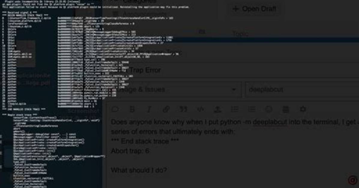 "Abort Trap: 6" Error in C?