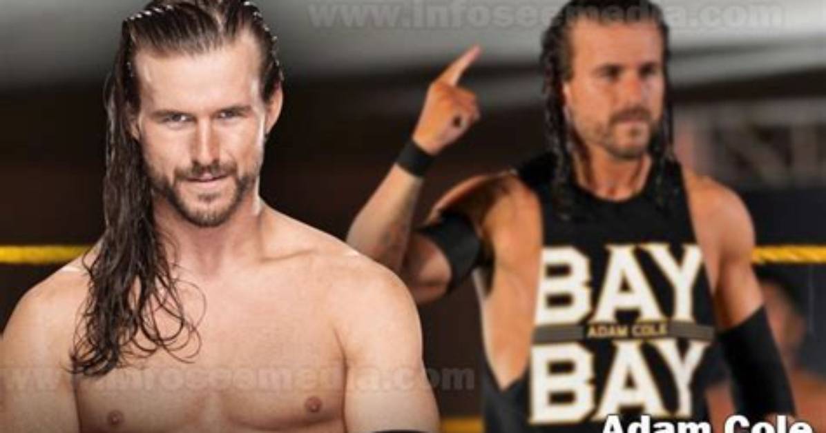 Adam Cole Net Worth