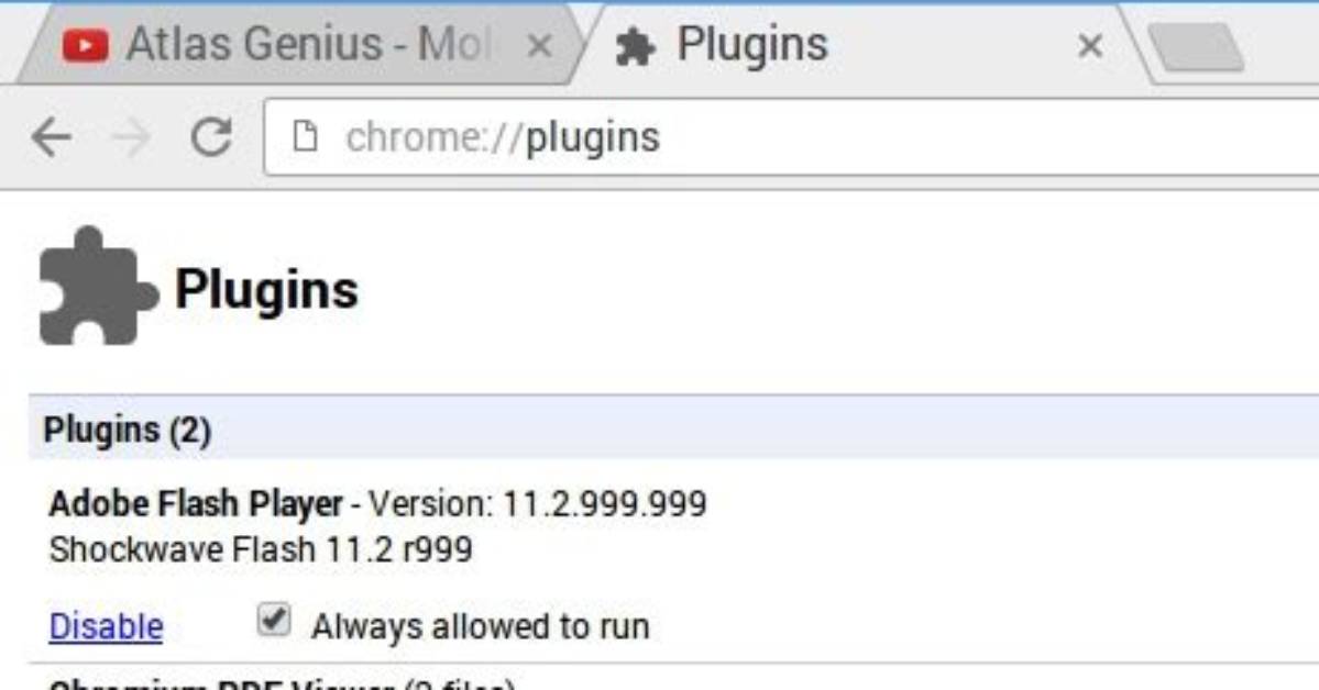 Adobe Flash Plugin for Chromium