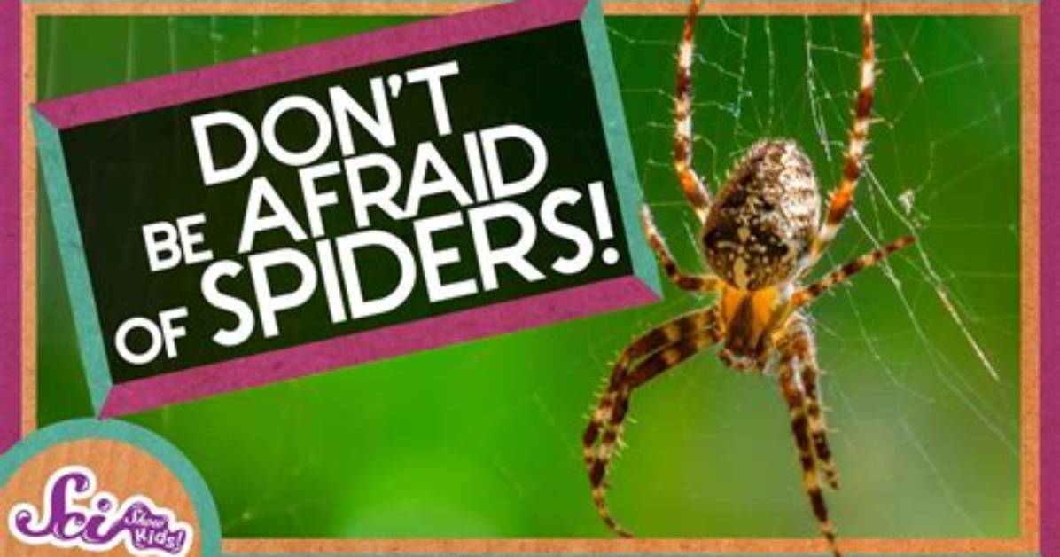 Afraid of Spiders? Then Don't Play Animal Planet's Real Scary Spiders Game