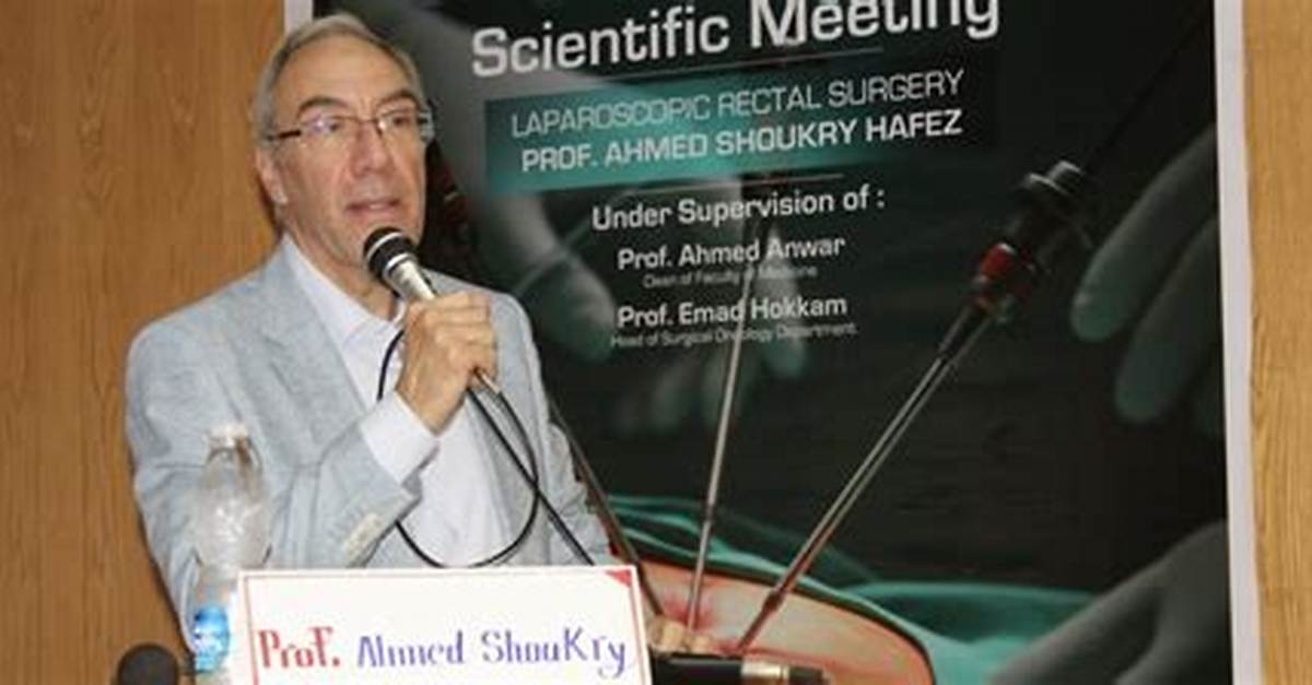 Ahmed Shoukry