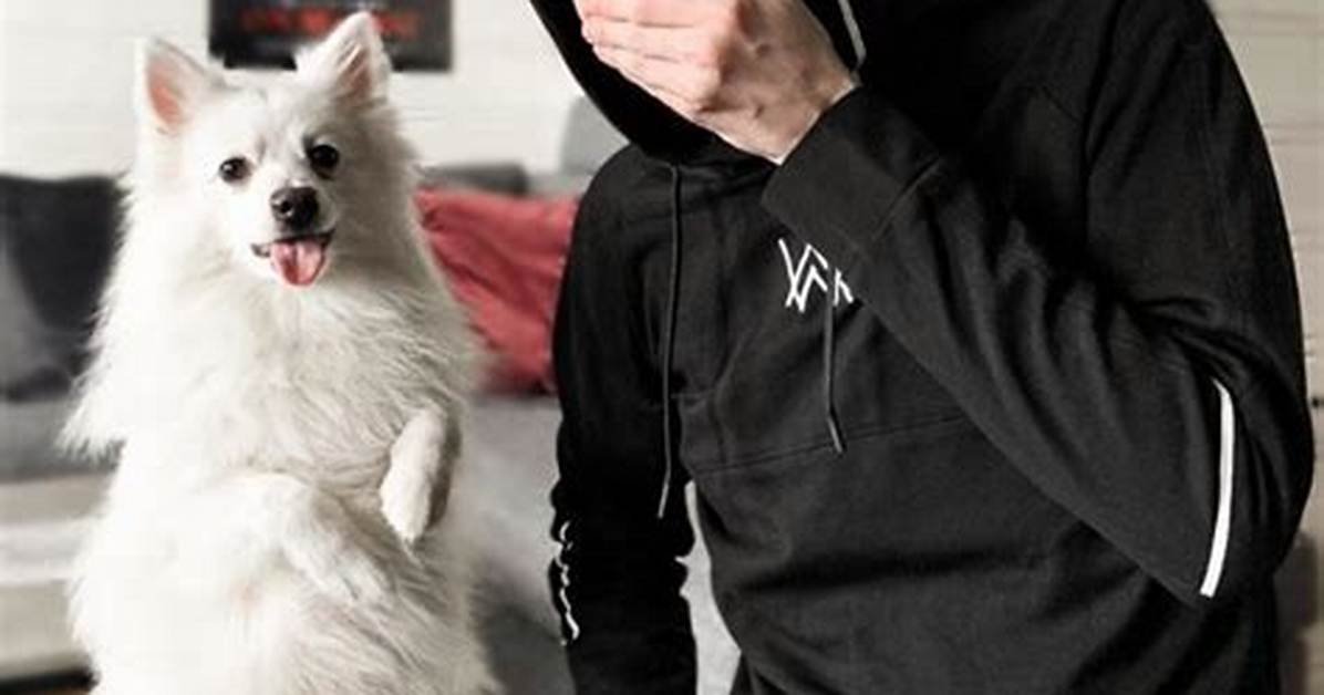 Alan Walker Net Worth 2024