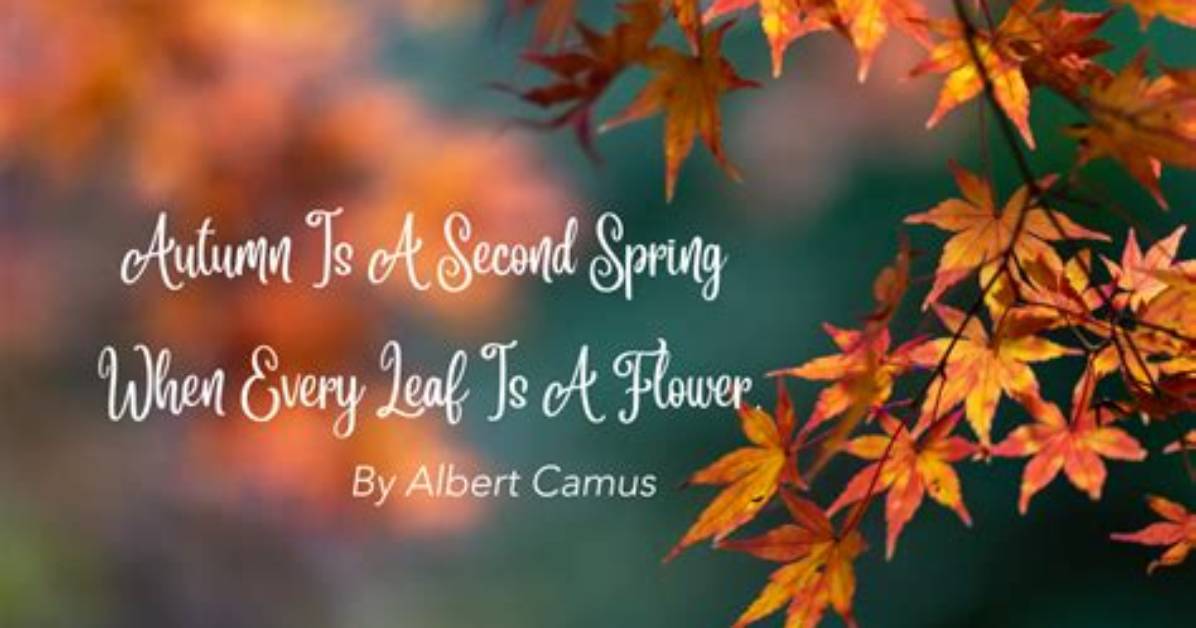 Albert Camus: 'Autumn Is a Second Spring When Every Leaf Is a Flower.'