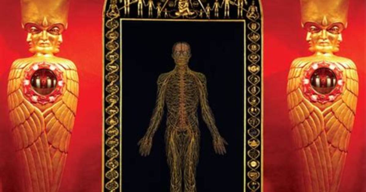 Alex Grey