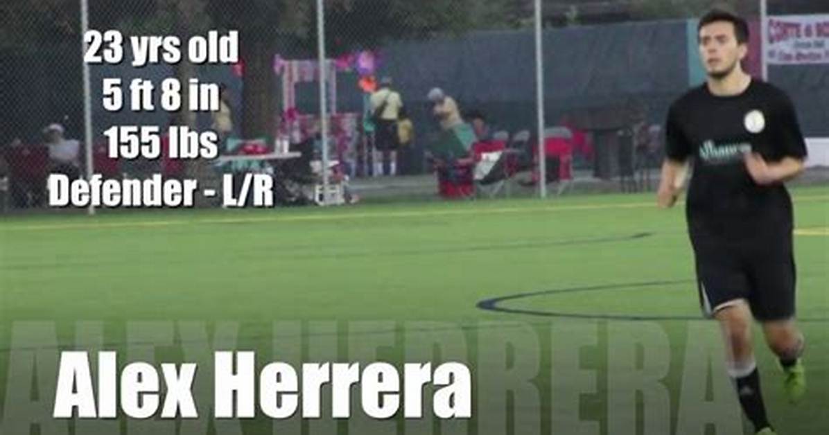 Alex Herrera Net Worth