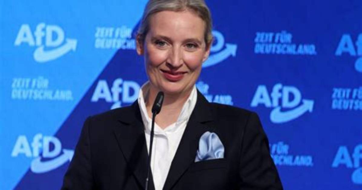 Alice Weidel Fortune