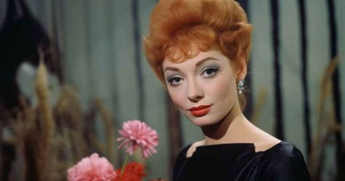 Amanda Blake Net Worth 2024