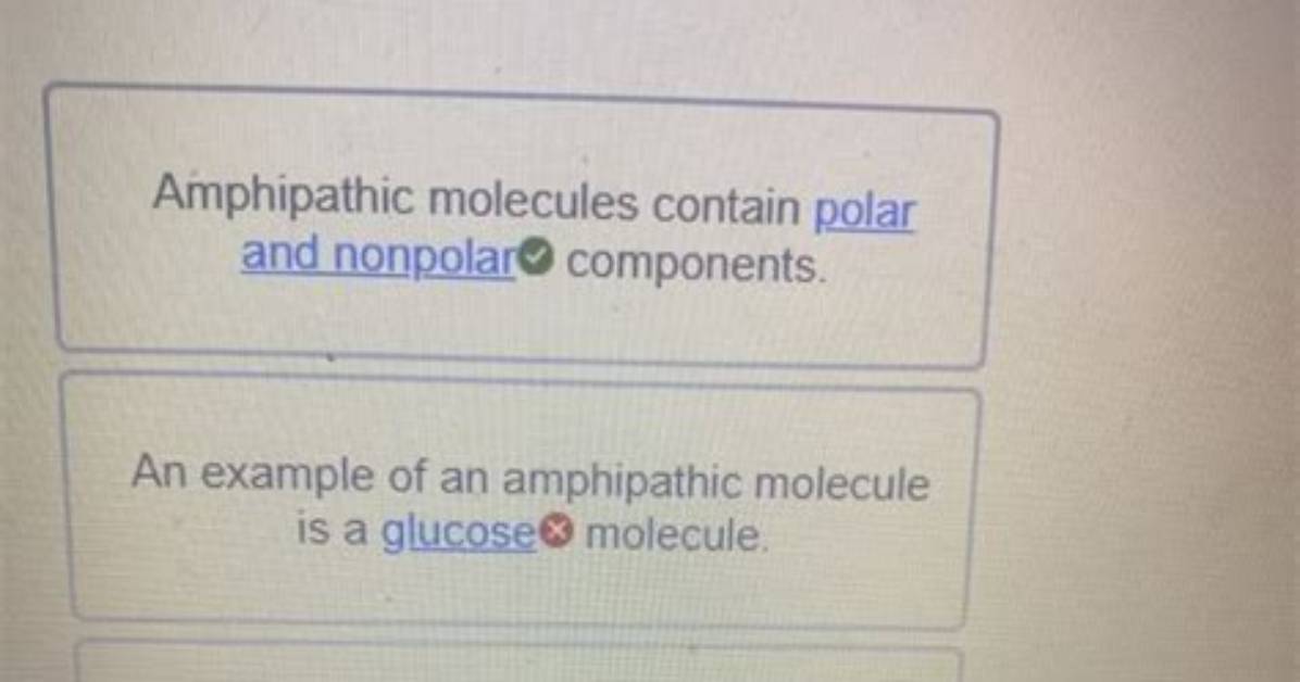 Amphipathic Molecules Contain ____________ Components.