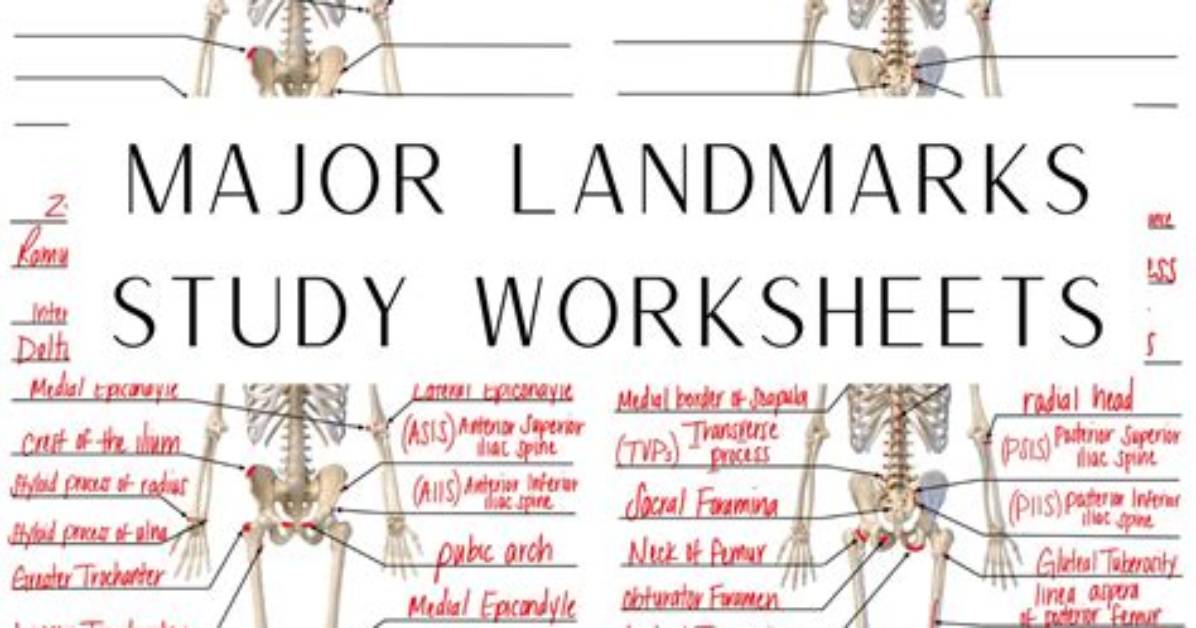 Anatomy Body Surface Landmarks Quiz