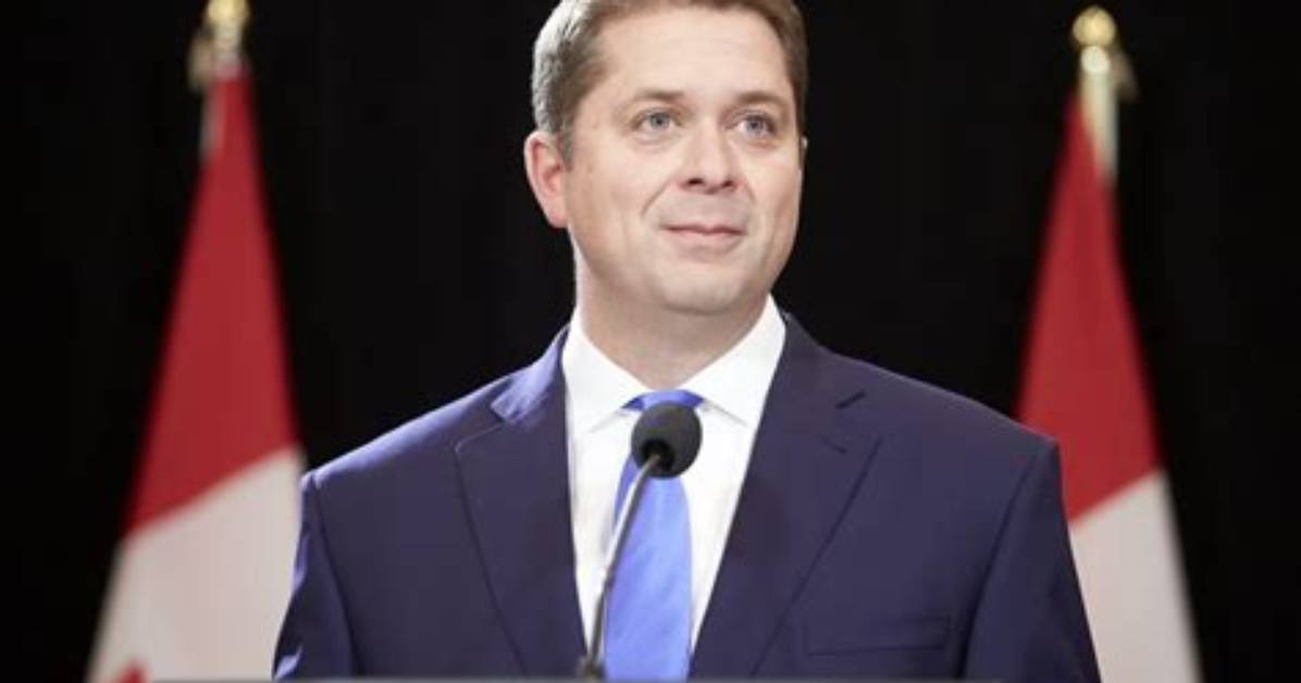 Andrew Scheer Net Worth