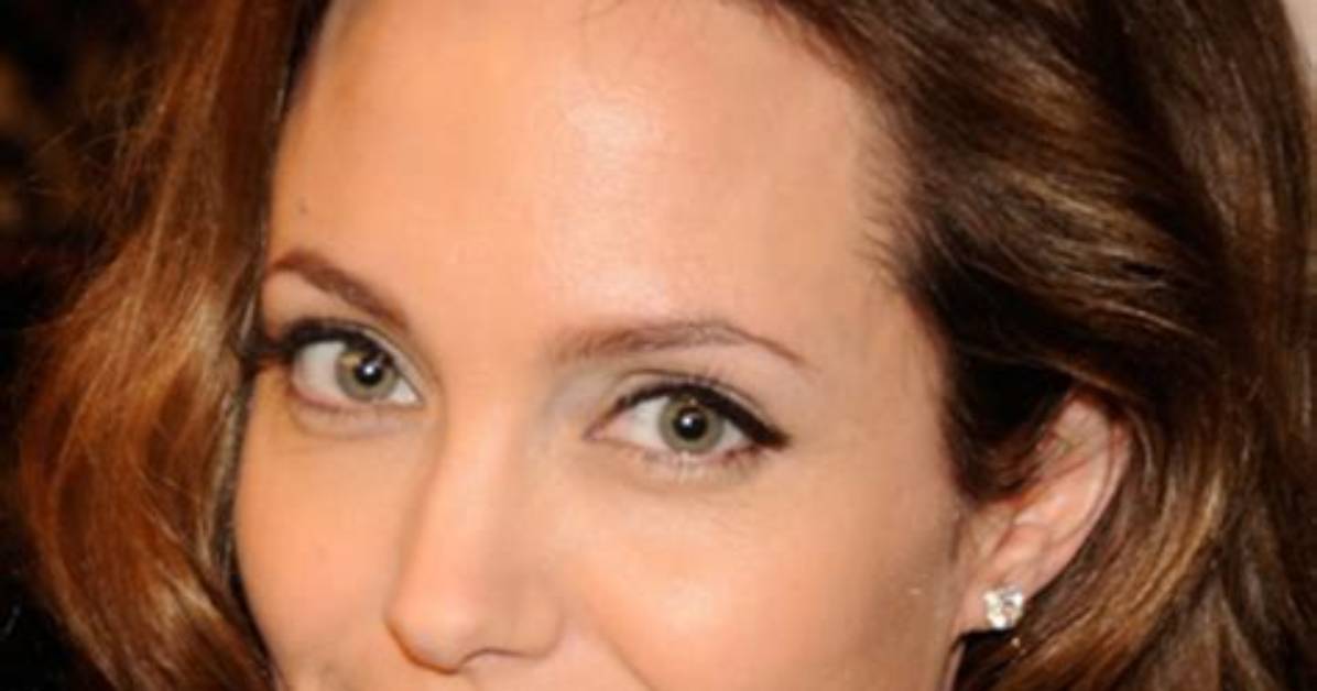 Angelina Jolie Wiki, Biographie, Age, Taille, Mariage, Contact & Informations