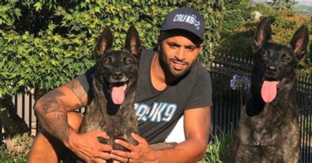 Apollo the K9 Net Worth