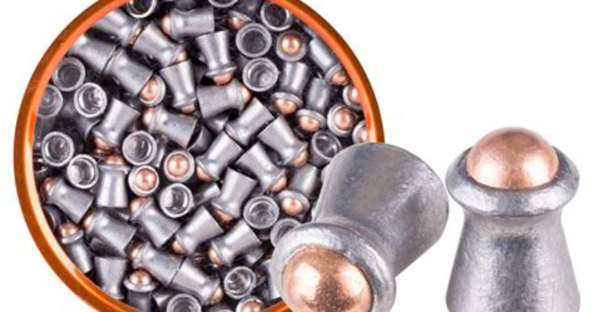 Are.177 Pellets Dangerous