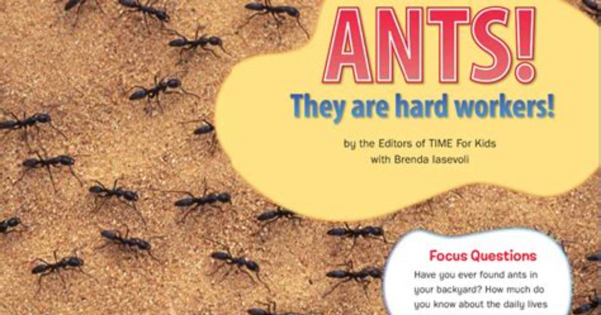 Are All Ants Hard Workers?