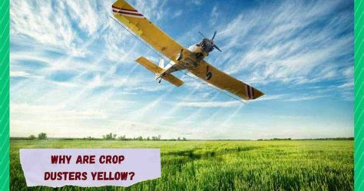 Are All Crop Dusters Yellow?