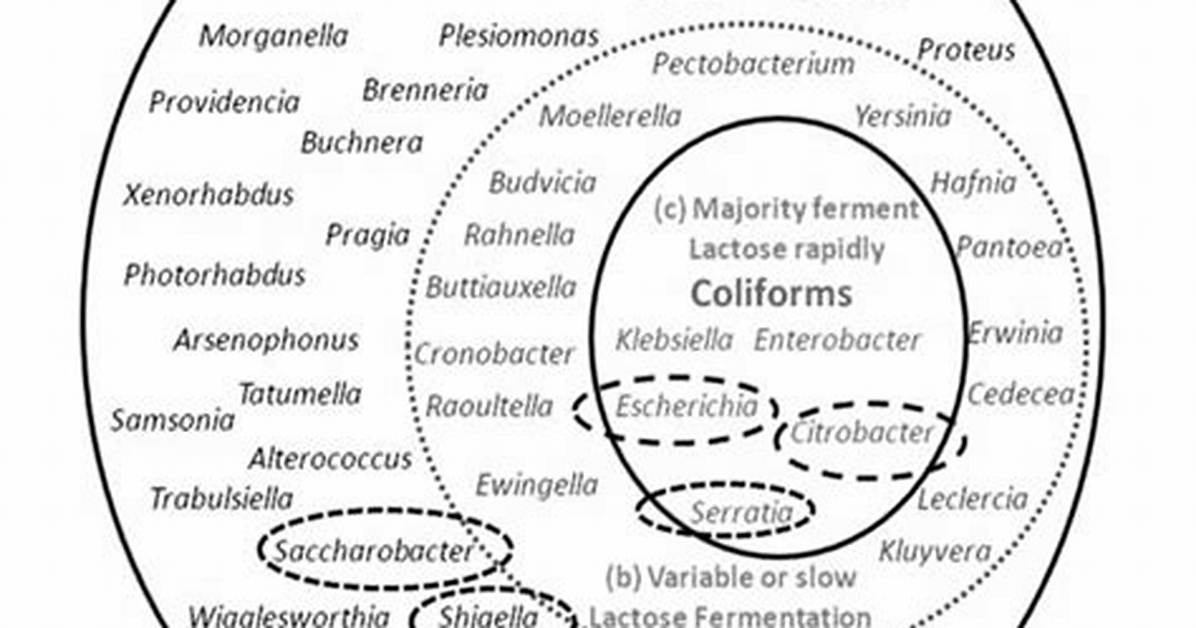 Are All Enterobacteriaceae Pathogens
