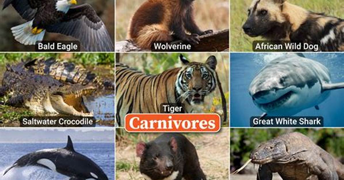 Are All Mammals Carnivores
