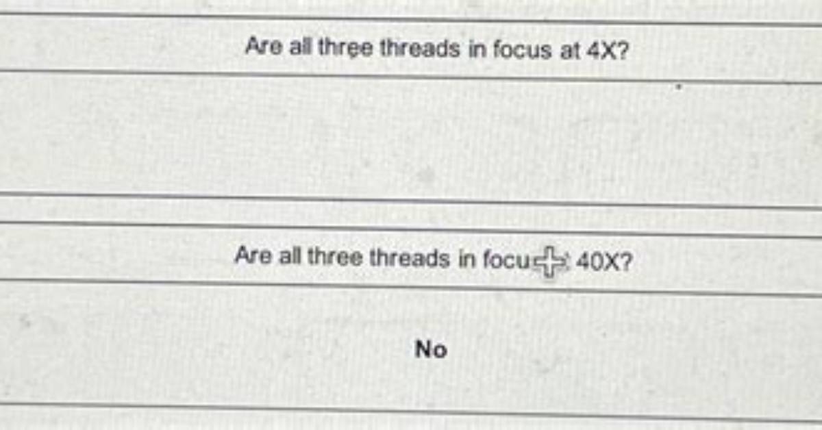 Are All Three Threads in Focus at 4X?
