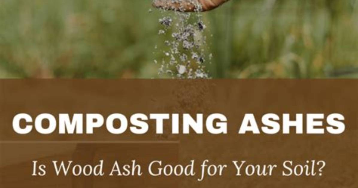 Are Ashes Good for the Soil