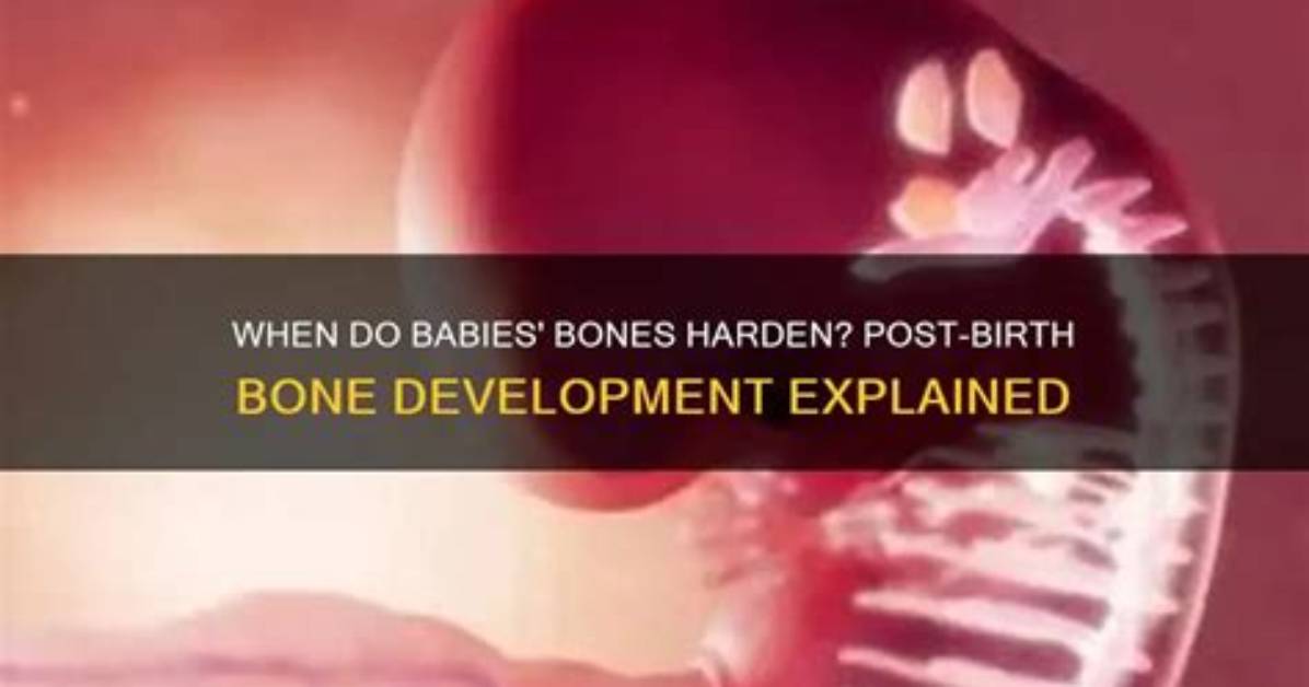 Are Babies Bones Soft?