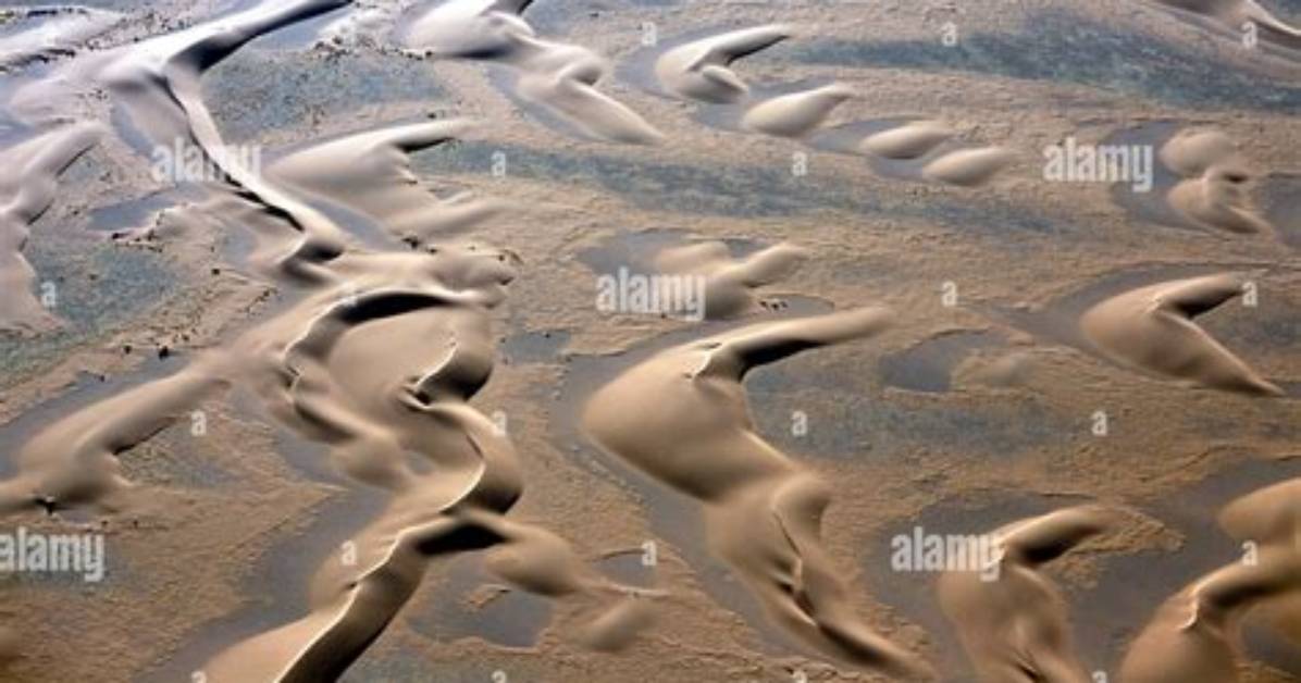 Are Barchans Sand Dunes?