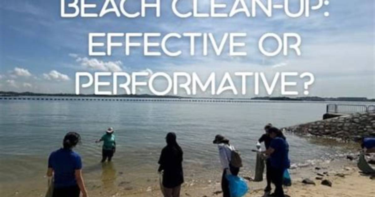 Are Beach Cleanups Effective?