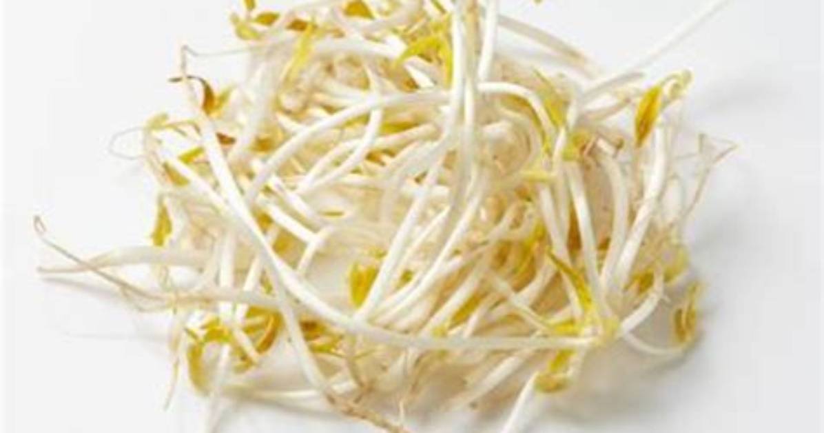 Are Bean Sprouts a Root Vegetable