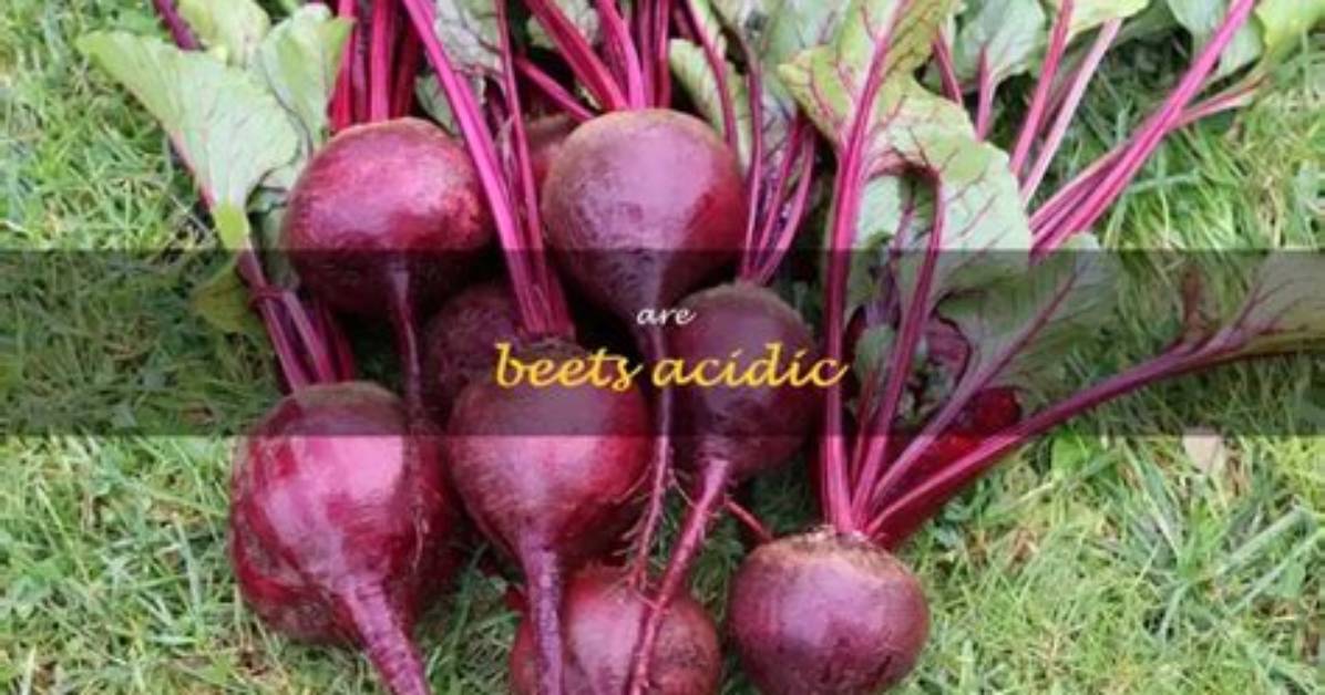 Are Beets Acidic