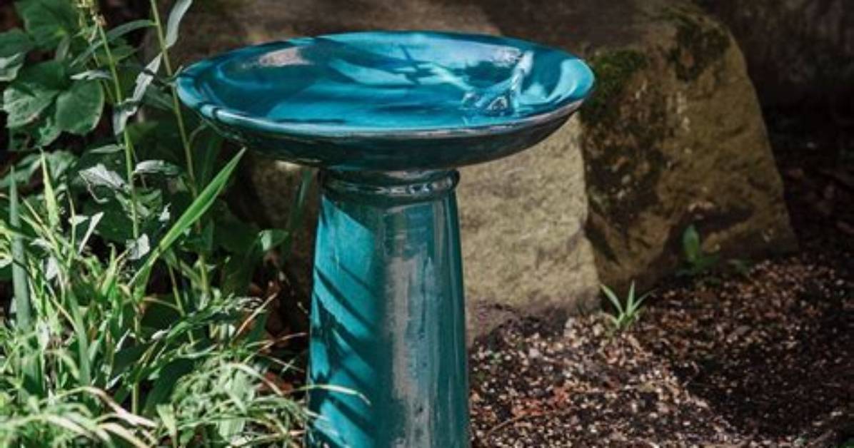 Are Bird Baths High Maintenance?