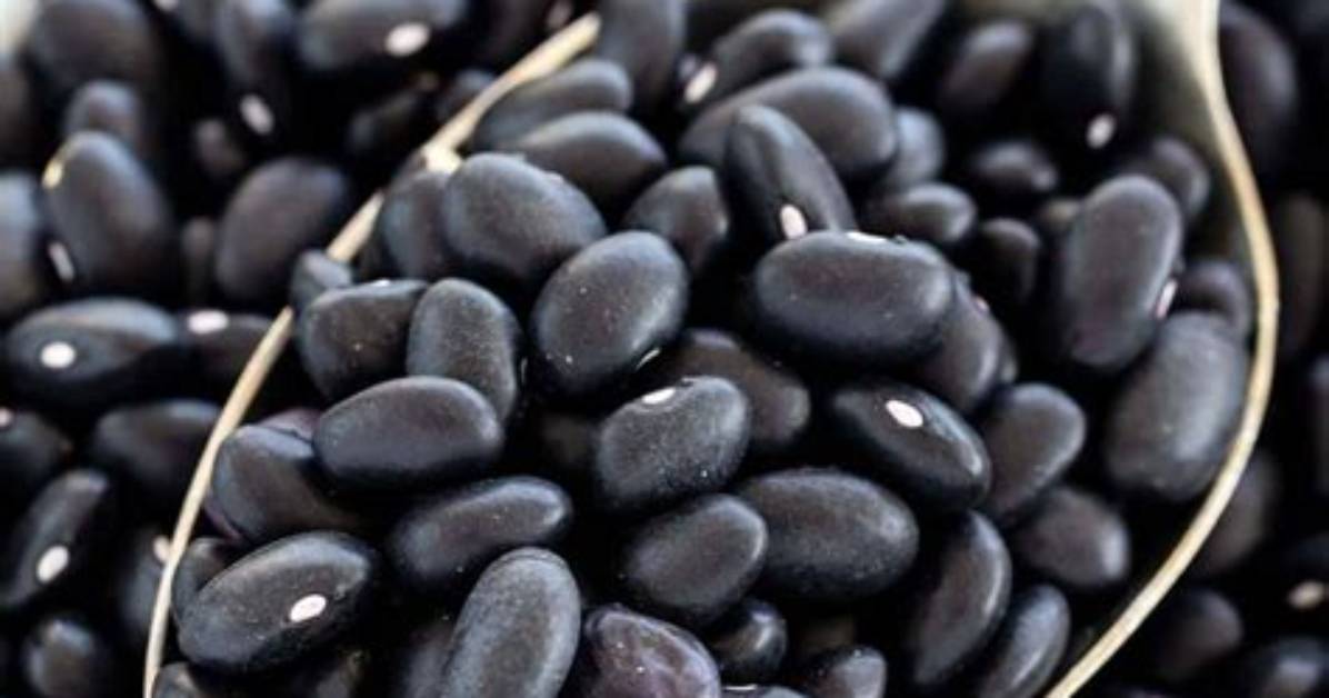 Are Black Beans Starchy
